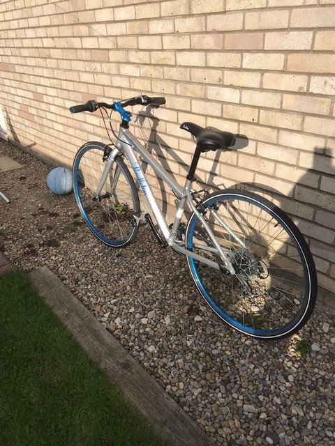 pendleton briary bike